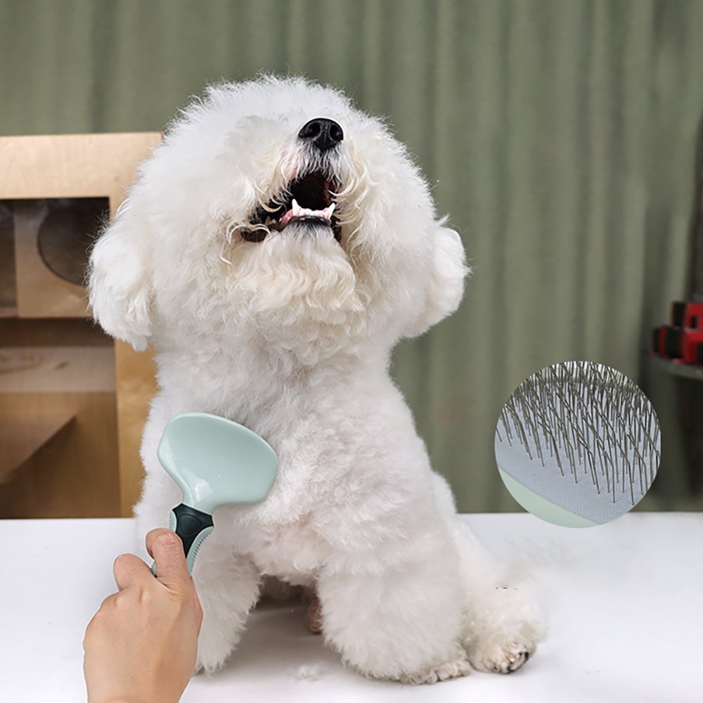 Professional Dog Grooming Kit – Cordless Clippers for Thick Coats, Low-Noise Pet Trimmer with Brush & Nail Clippers (For Dogs & Cats) - Image 3