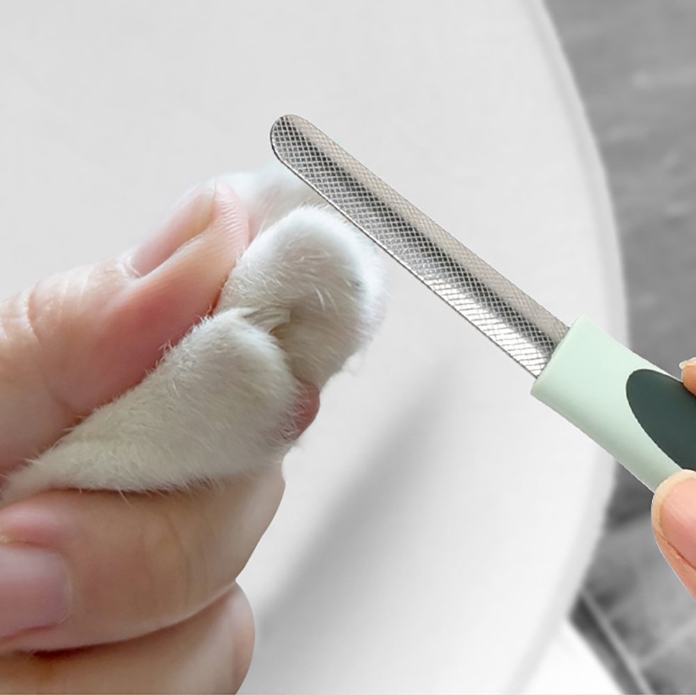 Professional Dog Grooming Kit – Cordless Clippers for Thick Coats, Low-Noise Pet Trimmer with Brush & Nail Clippers (For Dogs & Cats) - Image 7