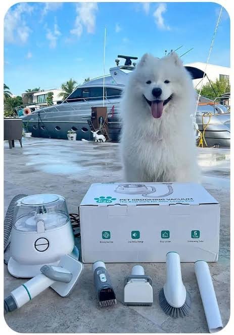 Image #1 from Declan M.