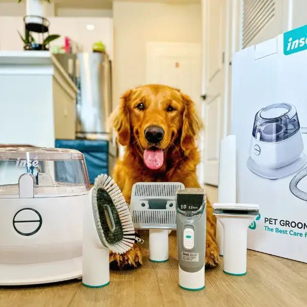 Image #1 from Gemma H.